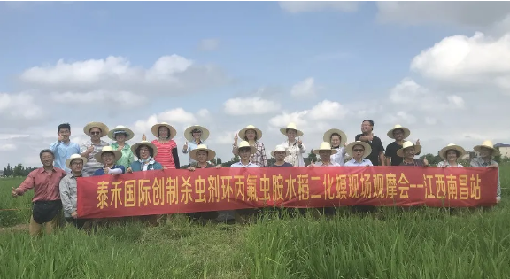 ˮΪ 氷ּ ɱ氷ˮҩЧ